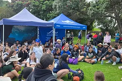 home du hoc new zealand